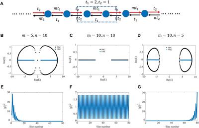 Tunable non‐Hermitian skin effects in Su‐Schrieffer‐Heeger‐like models